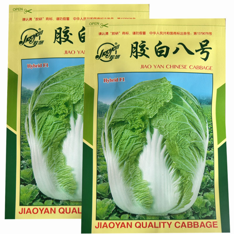 胶州大白菜种子胶研胶白八号秋季山东胶州大白菜籽农家大田