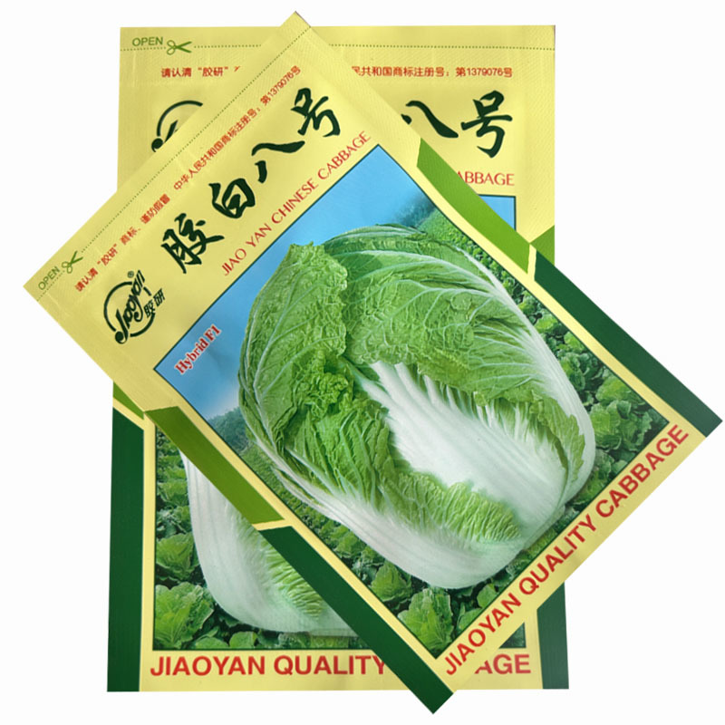 胶州大白菜种子胶研胶白八号秋季山东胶州大白菜籽农家大田