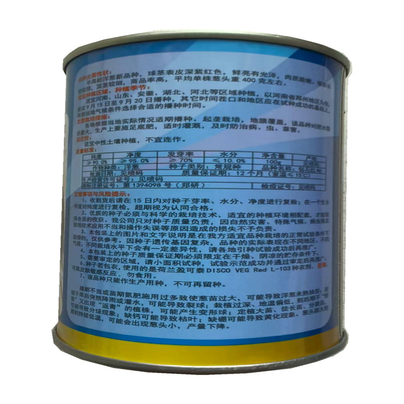 钻石红N6洋葱种子郑研100克半高桩高产紫洋葱种子