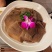 本色小叶片牛百叶毛肚火锅串串麻辣烫冒菜食材