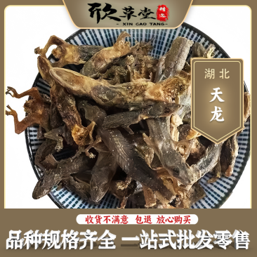 天龙壁虎守宫、多疣壁虎、蝎虎、爬壁虎
