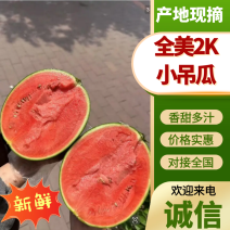【🍉小吊瓜】辽宁全美2K小糖丸西瓜保熟保甜可对接全国