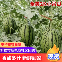 【全美2K小吊瓜】辽宁锦州小吊瓜西瓜量大从优可视频看货