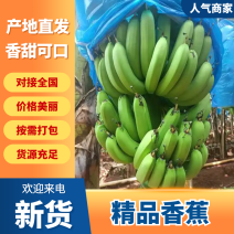 广东香蕉