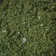 精品青花椒大量上市人工采摘产地直发保质保量量大从优