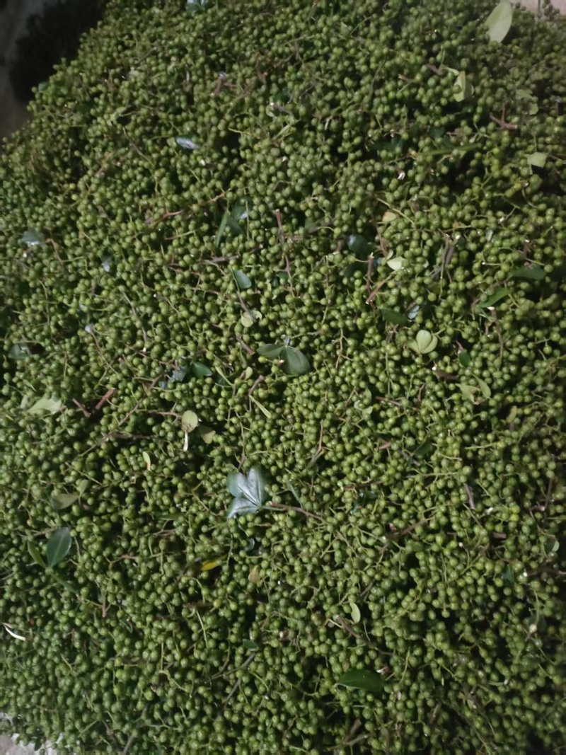 精品青花椒大量上市人工采摘产地直发保质保量量大从优