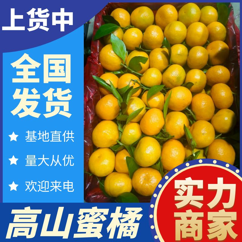 湖北《高山蜜橘》橘子/基地直供/现摘现发/早熟蜜橘~蜜桔