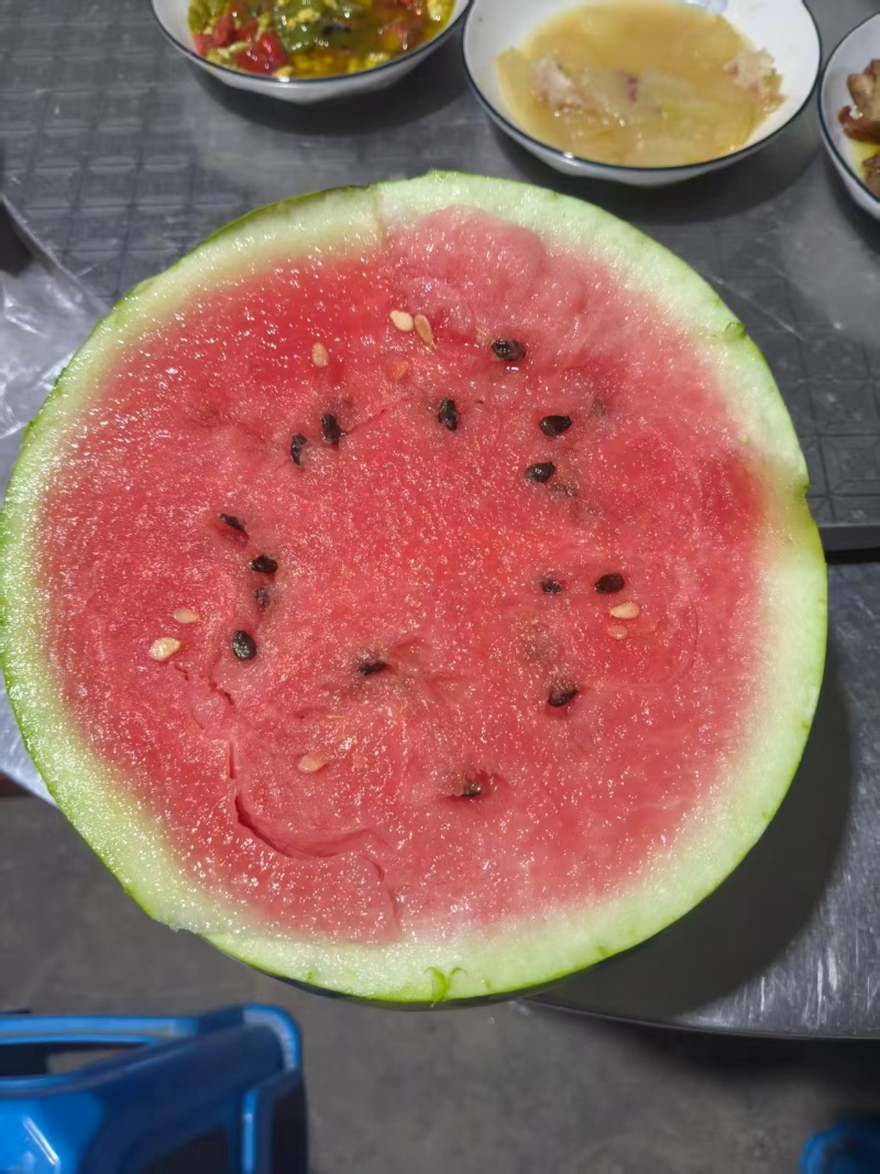 【现摘现发】浙江精品露天美都西瓜自种自卖欢迎来电咨询
