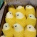 保山鹰嘴芒大小规格都有按需求分拣打包纸箱泡沫箱礼盒无黑点