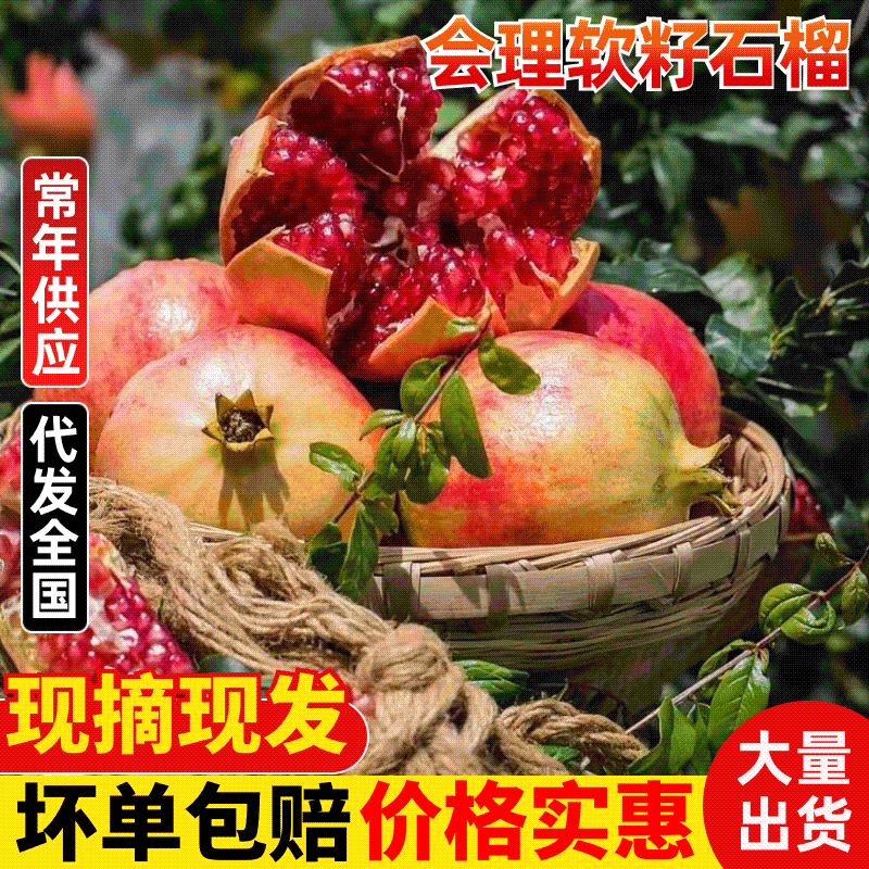 四川会理突尼斯软籽石榴产地直发颗粒饱满新鲜采摘一件代发