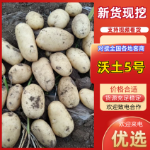 沃土5号大量上市产地直发对接全国市场来电详谈