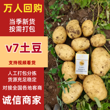 v7土豆全国可发诚信经营品种齐全可视频看货