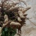 白沙花生河南产区直发保质保量供货价钱实惠