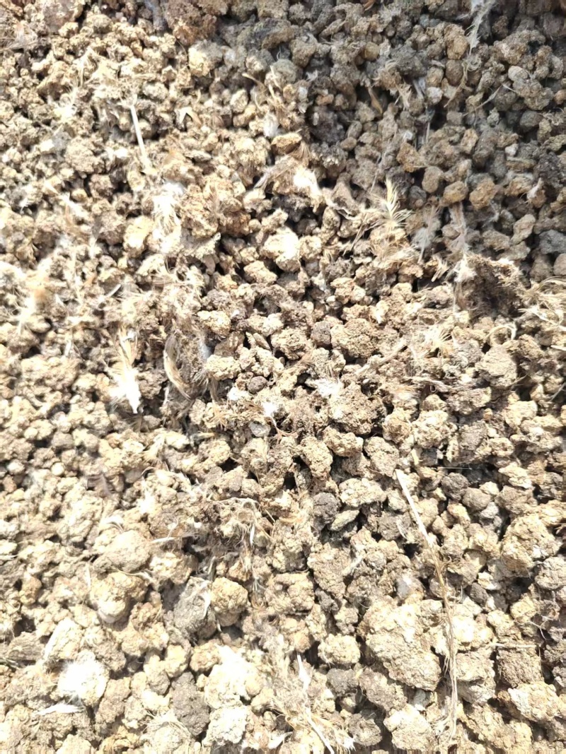 发酵腐熟纯鸡粪农家肥改良土壤底肥瓜果蔬菜农作物肥料