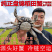 盘锦河蟹老头蟹一元蟹两元蟹量大优惠欢迎咨询