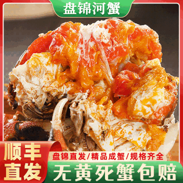 盘锦河蟹稻田蟹老头蟹一元蟹规格齐全批发优惠