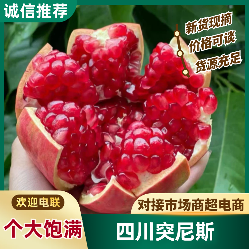 红石榴四川石榴产地直发供应电商市场突尼斯软籽石榴品质保障
