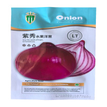 紫秀水果洋葱种子中日照紫皮洋葱种子中熟品种高产