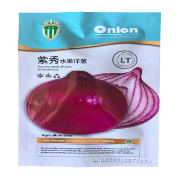 紫秀水果洋葱种子中日照紫皮洋葱种子中熟品种高产