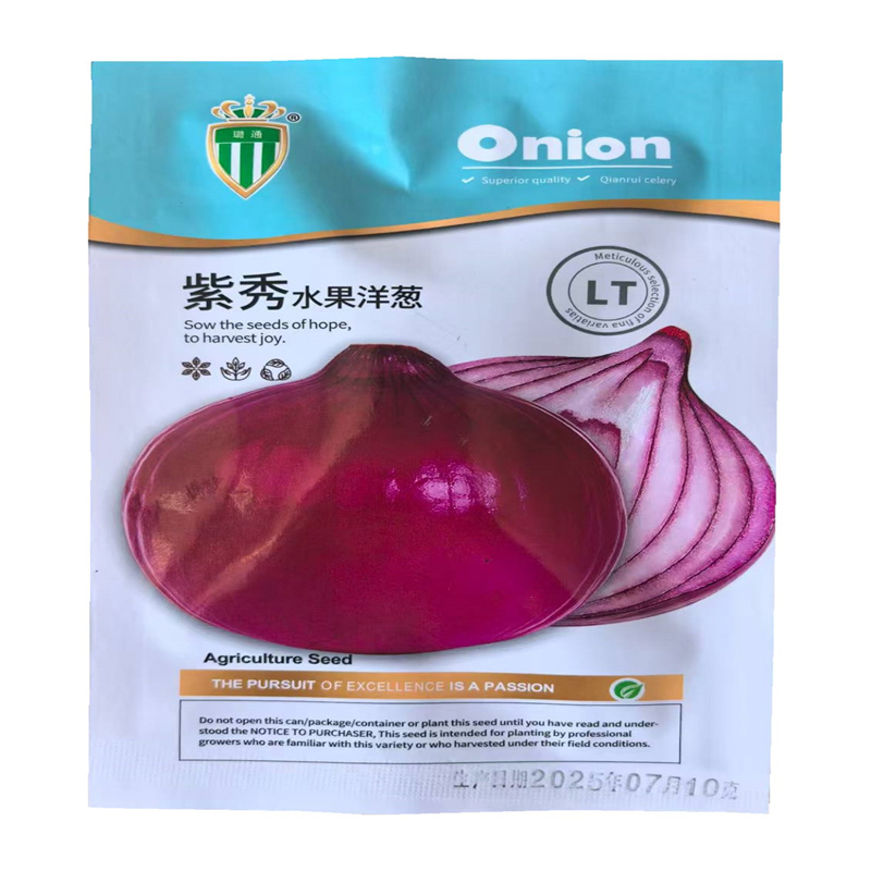 紫秀水果洋葱种子中日照紫皮洋葱种子中熟品种高产