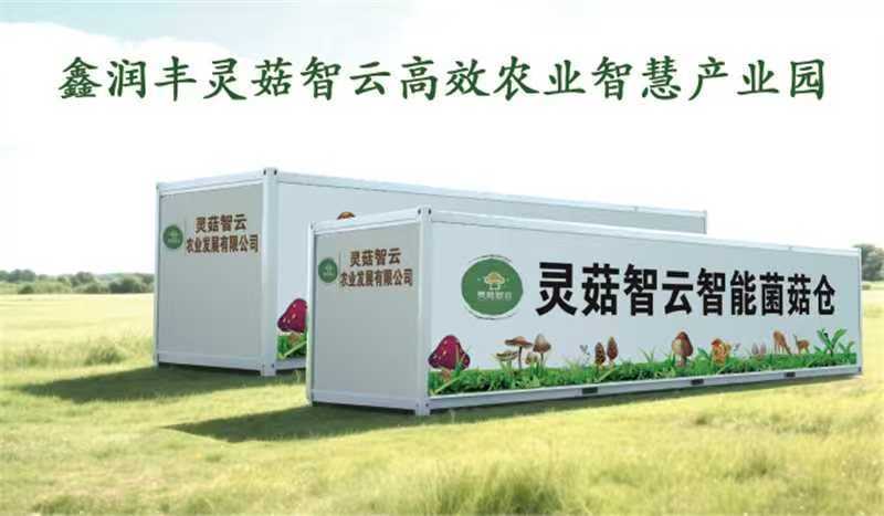 金耳食用菌鲜货量大质优价格优惠一手货源支持私人订制