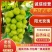 精品阳光玫瑰葡萄大量上市/一手鲜货阳光玫瑰葡萄/量大优惠