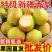【库尔勒香梨】电商一件代发或代办