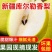 【香梨】供应链电商一件代发新疆生鲜产品