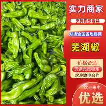 【实力供货】精品芜湖椒芜湖椒日供货万吨品质保证