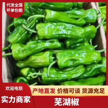 【推荐】芜湖椒山东芜湖椒基地直发支持实地和视频看货