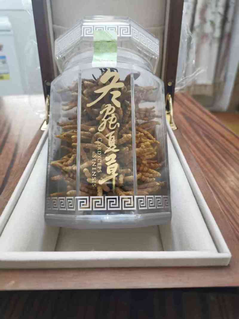 冬虫夏草，批发可议价，一件代发，对接全国，欢迎咨询