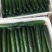山东密刺黄瓜新鲜上市清新可口走货全国量大从优价格美丽热卖