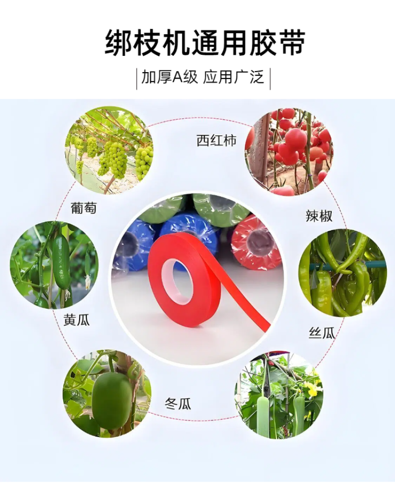 【整箱】加厚绑枝带番茄绑枝机胶带/绑枝器专用胶带葡萄绑蔓