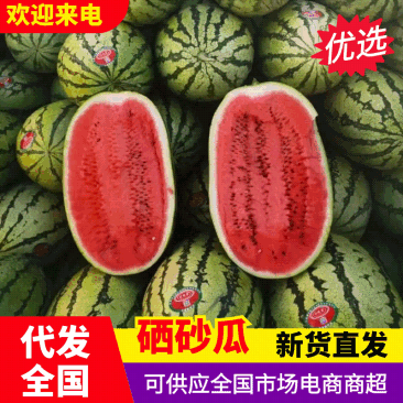 (强烈推荐)正宗宁夏石头缝蹦出来的石头瓜,糖度高,皮毛靚