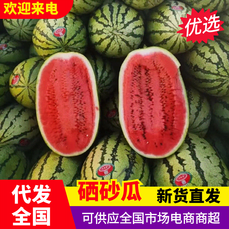 (强烈推荐)正宗宁夏石头缝蹦出来的石头瓜，糖度高，皮毛靚