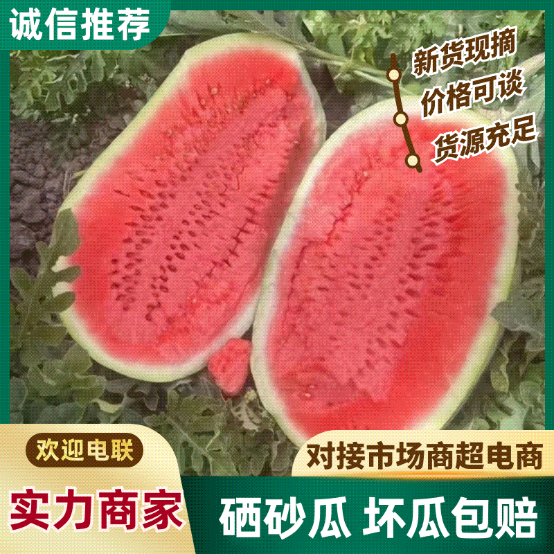 【实力推荐】宁夏硒砂瓜石头瓜金城5号金花一号代发全国