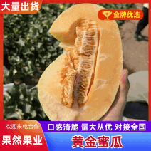 黄金蜜瓜，风金6号哈密瓜金色年华哈密瓜拍拍金大量有货