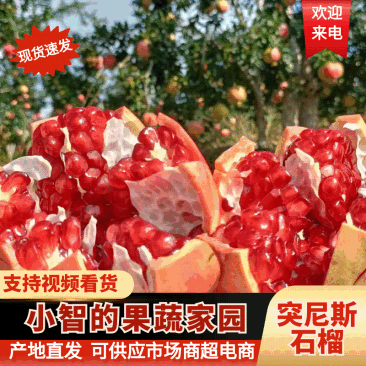 四川精品会理石榴突尼斯软籽石榴产地直发口感好个头大发市场