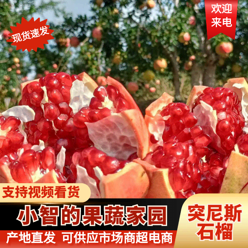 四川精品会理石榴突尼斯软籽石榴产地直发口感好个头大发市场