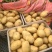 黄心土豆V7土豆产地直发货源充足品种齐全发全国