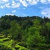 杨朝海的一亩田店铺