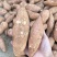 河南开封烟薯25龙薯九产地直发品种齐全货源充足发市场