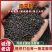 江西精品油菜籽自种自销自然成熟出油率高双低欢迎致电