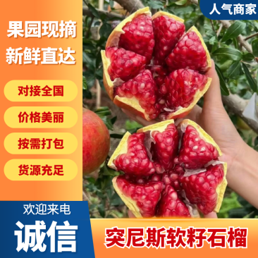 【电商直供]四川凉山会理突尼斯软籽石榴产地直发一手货源
