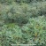 牛油果一手货源原产地价格规格大小齐全纸箱泡沫箱礼品盒包装齐全