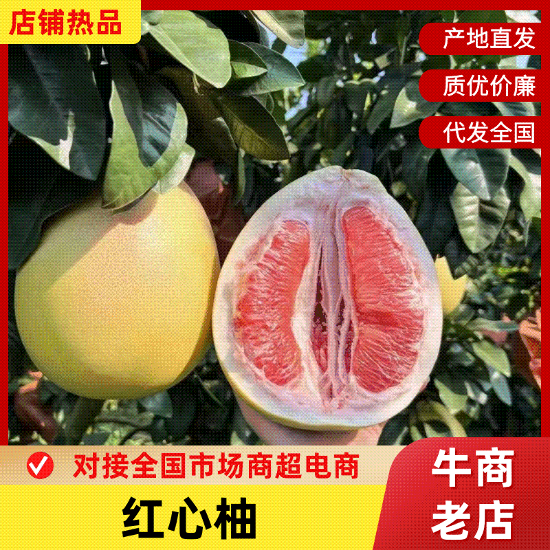 湖北精品红心柚大量出货品质保证对接市场商超电商等