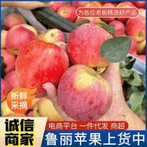 【一件代发】鲁丽苹果&陆地苹果/果园现摘/批发商超～电商