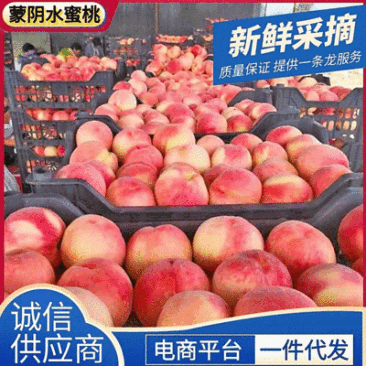 《水蜜桃》一件代发&电商平台/蒙阴水蜜桃/现摘现发