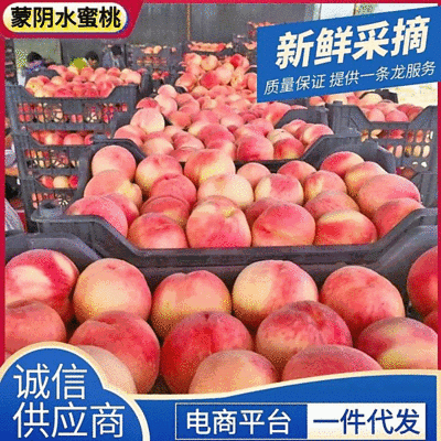 《水蜜桃》一件代发&电商平台/蒙阴水蜜桃/现摘现发