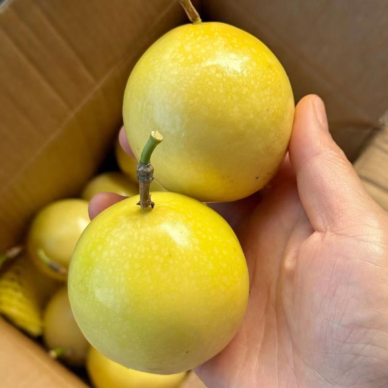 钦蜜9号百香果产地直发品质保证价格优惠